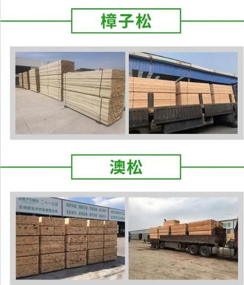 建筑用工地木方價(jià)格、建筑方木與廠(chǎng)家直銷(xiāo)全方位解析